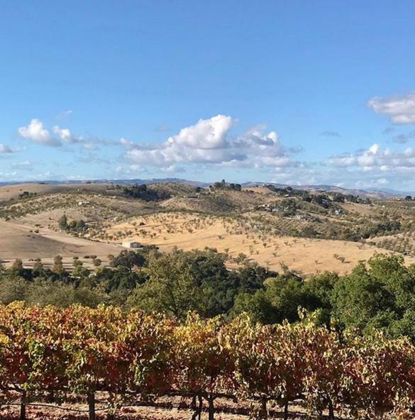 Hotel The Eden House Vineyard Templeton Exterior foto